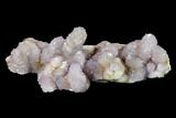 Cactus Quartz (Amethyst) Crystal Cluster - South Africa #132529-1